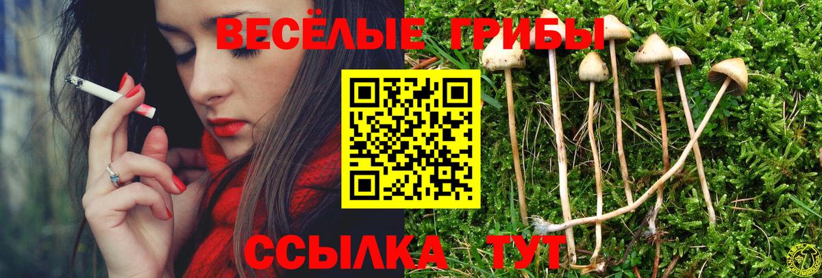 Галлюциногенные грибы прущие грибы Сунжа