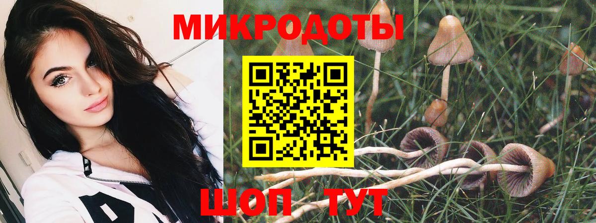 Сунжа  Галлюциногенные грибы GOLDEN TEACHER  Вход с VPN 